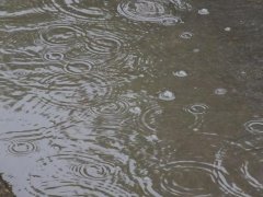 雨量監(jiān)測(cè)儀，提供雨量原始數(shù)據(jù)
