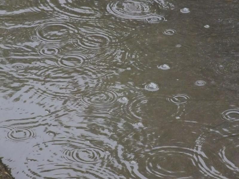雨量監(jiān)測儀，提供雨量原始數據
