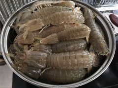 皮皮蝦中為什么會被檢測出鎘超標？