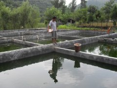 水中硫化氫檢測儀，可以為水產(chǎn)養(yǎng)殖做什么？
