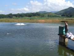 水產(chǎn)養(yǎng)殖檢測儀，為水產(chǎn)提供優(yōu)良的生長環(huán)境