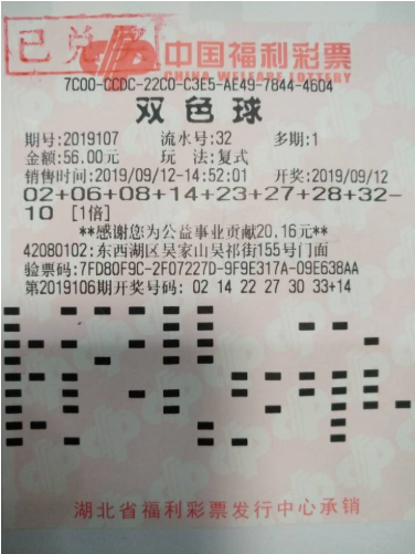 双色球最新版走势图,双色球最新版走势图，揭示彩票背后的秘密与策略