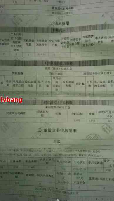 2024新澳门历史开奖记录查询结果,立刻落实解释解答_正式版99.119