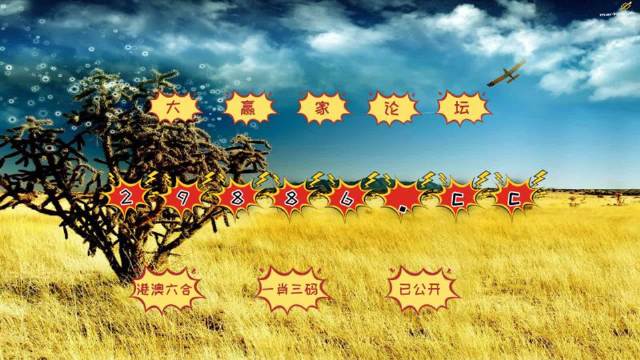 新澳门彩4949历史记录,新澳门彩4949历史记录，探索与解析