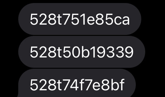 77777788888王中王跑狗软件介绍,王中王跑狗软件，777777与888888的神秘结合