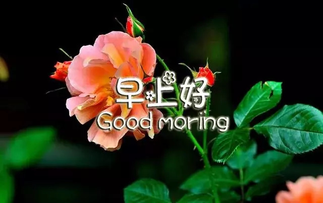 最新早上好图片,最新早上好图片，唤醒美好一天的温馨问候