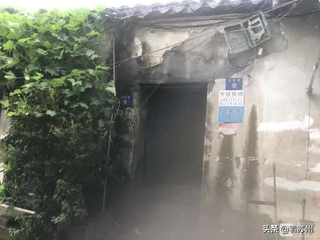 苏州今天台风最新消息,苏州今天台风最新消息，风雨中的城市动态与应对措施
