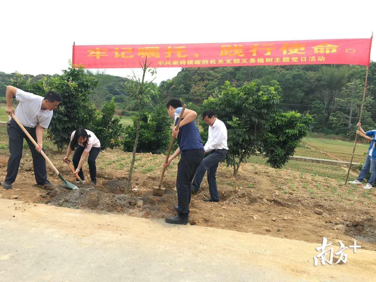 高州最新新闻头条,高州最新新闻头条，城市发展与民生改善的新篇章