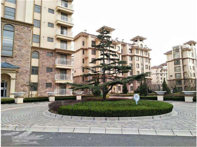 龙口海景房最新价格,龙口海景房最新价格概览