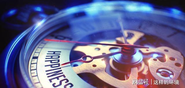 王中王493333WWW,王中王493333WWW，探索数字背后的故事与意义