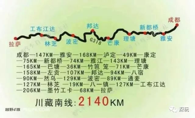 2024年12月 第318页