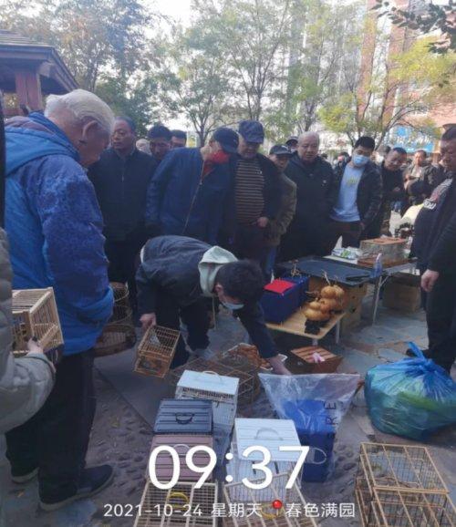 营口市市林业局最新项目,营口市市林业局最新项目，绿色生态建设的步伐与未来展望