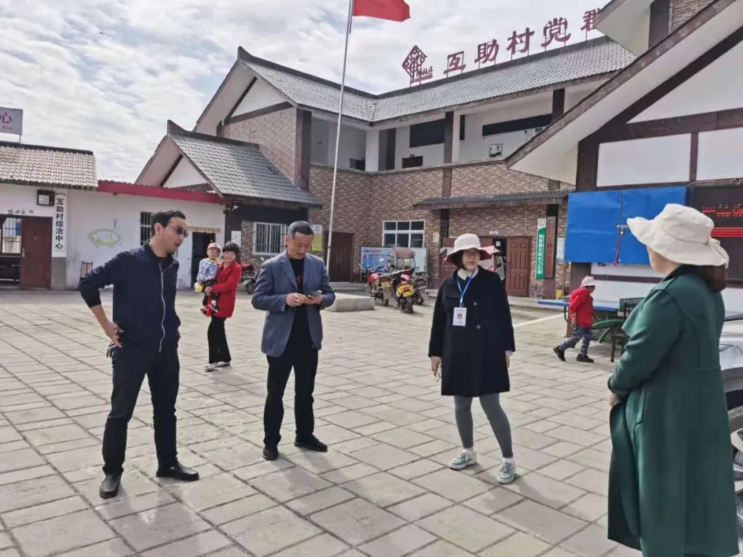 杨家镇最新交通新闻,杨家镇最新交通新闻，交通发展助力地方繁荣