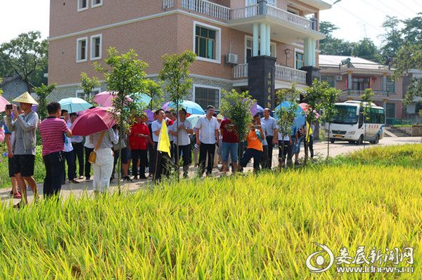 荆州市市农业局最新项目,荆州市市农业局最新项目，引领农业现代化，助力乡村振兴