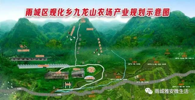 饶河农场最新发展规划,饶河农场最新发展规划，打造现代化农业新标杆