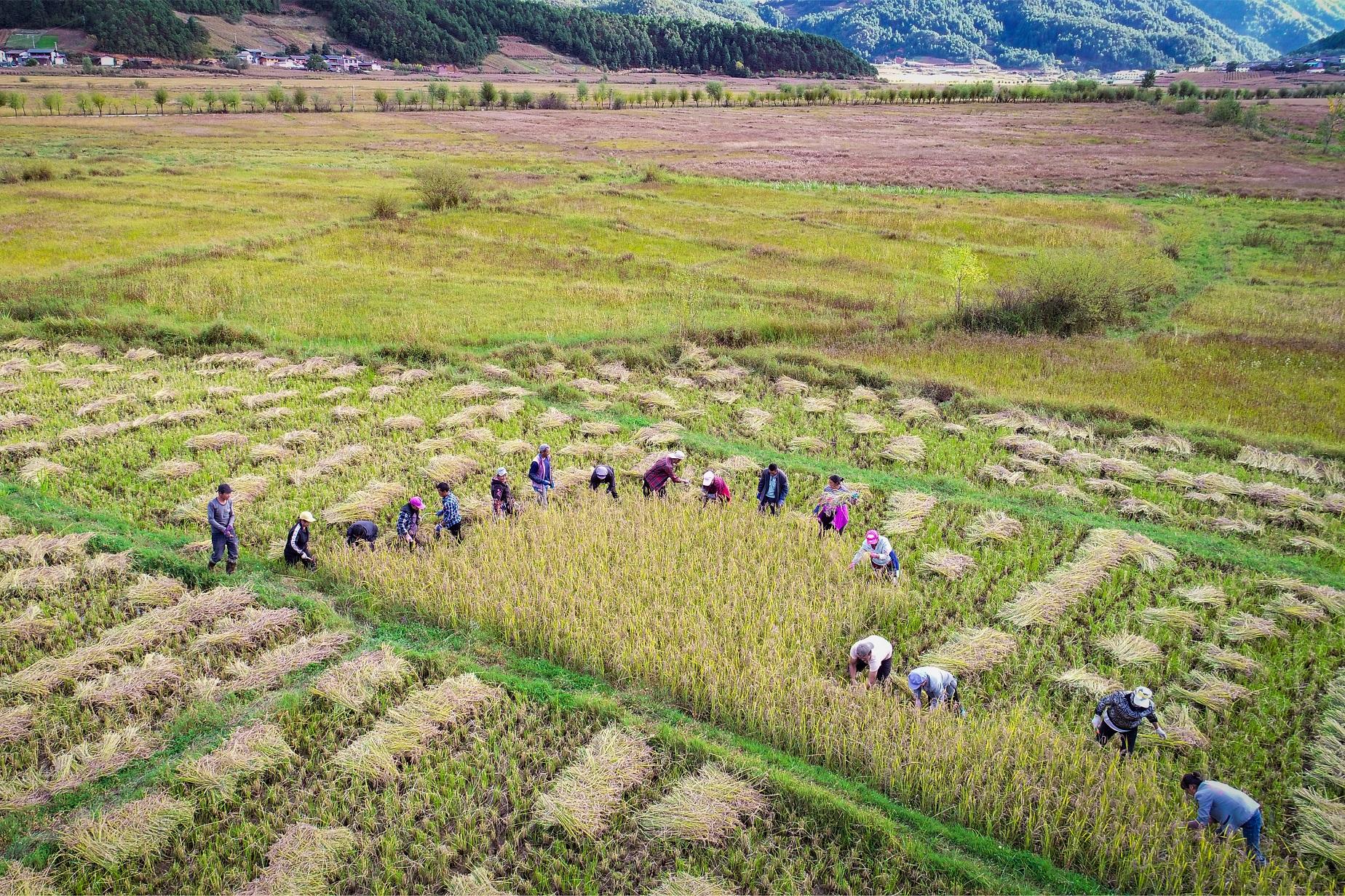 攀天阁乡最新新闻,攀天阁乡最新新闻，发展动态与社区更新