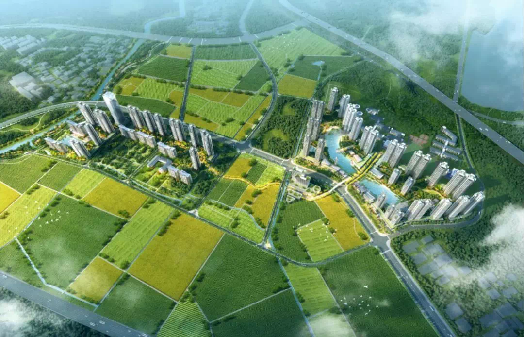 麻科村最新新闻,麻科村最新新闻，乡村振兴与社区发展的崭新篇章