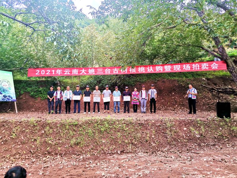 三台县小学最新领导,三台县小学迎来最新领导——引领未来教育的新篇章
