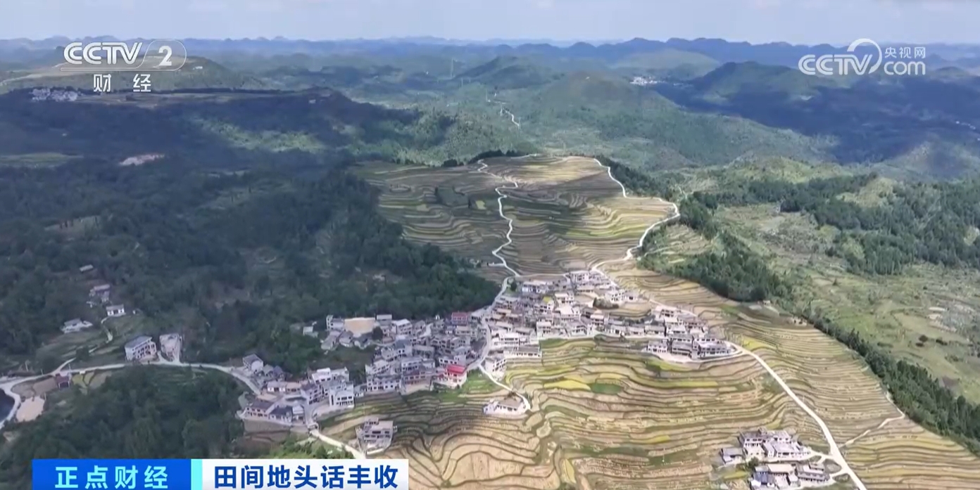 西畴县农业农村局最新发展规划,西畴县农业农村局最新发展规划