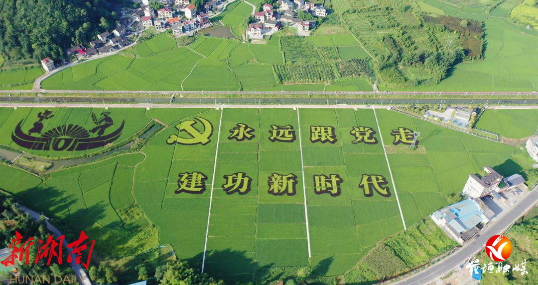 松桃苗族自治县农业农村局最新发展规划,松桃苗族自治县农业农村局最新发展规划