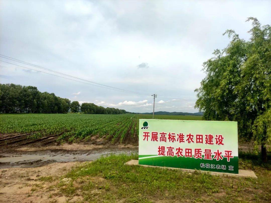 嫩北农场最新项目,嫩北农场最新项目，引领农业现代化新潮流