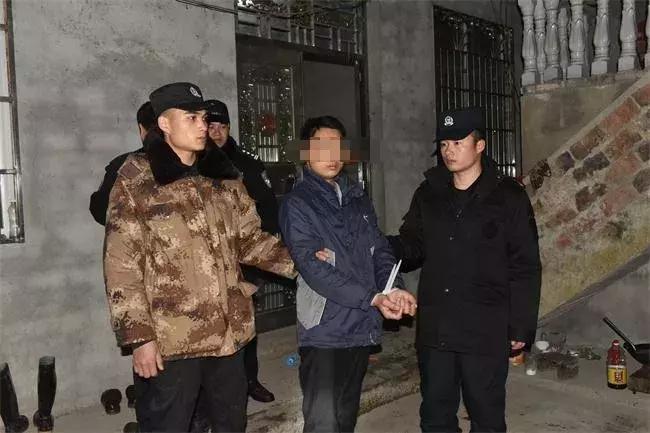 罗城仫佬族自治县农业农村局最新项目,罗城仫佬族自治县农业农村局最新项目，推动农业现代化，助力乡村振兴