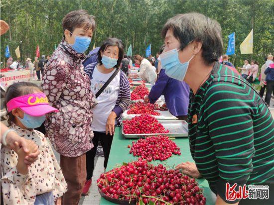 杜庄镇最新项目,杜庄镇最新项目，引领未来发展的新动力