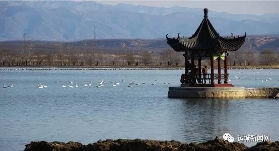 芮城县文化广电体育和旅游局最新项目,芮城县文化广电体育和旅游局最新项目，推动县域文化体育事业迈上新台阶