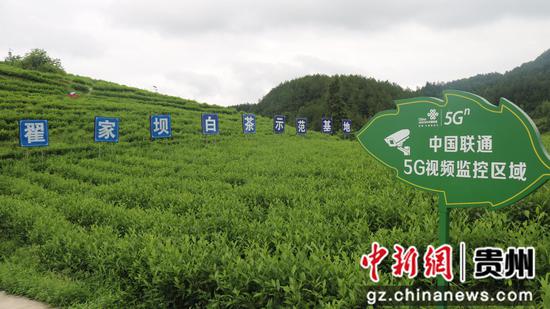 丰乐林场最新项目,丰乐林场最新项目，绿色发展的探索与实践