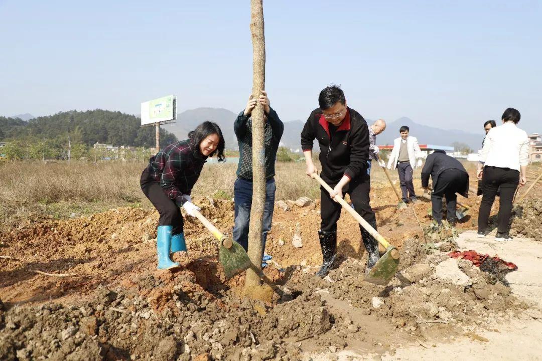 梧州市市劳动和社会保障局最新项目,梧州市劳动和社会保障局最新项目，创新服务，助力民生改善