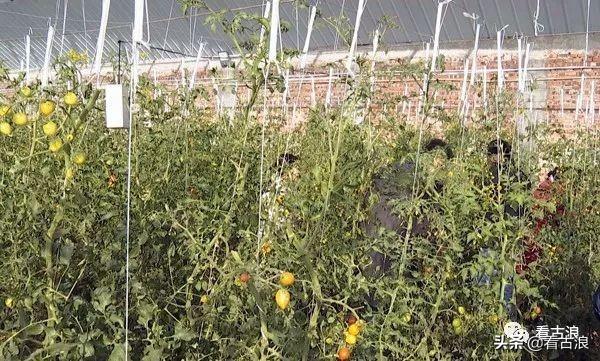 古浪县科学技术和工业信息化局最新人事任命,古浪县科学技术和工业信息化局最新人事任命，推动县域科技工业发展的新篇章