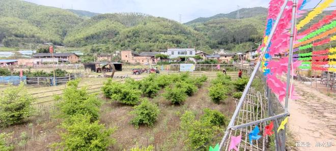 细沙坪乡最新项目,细沙坪乡最新项目，乡村振兴的新引擎