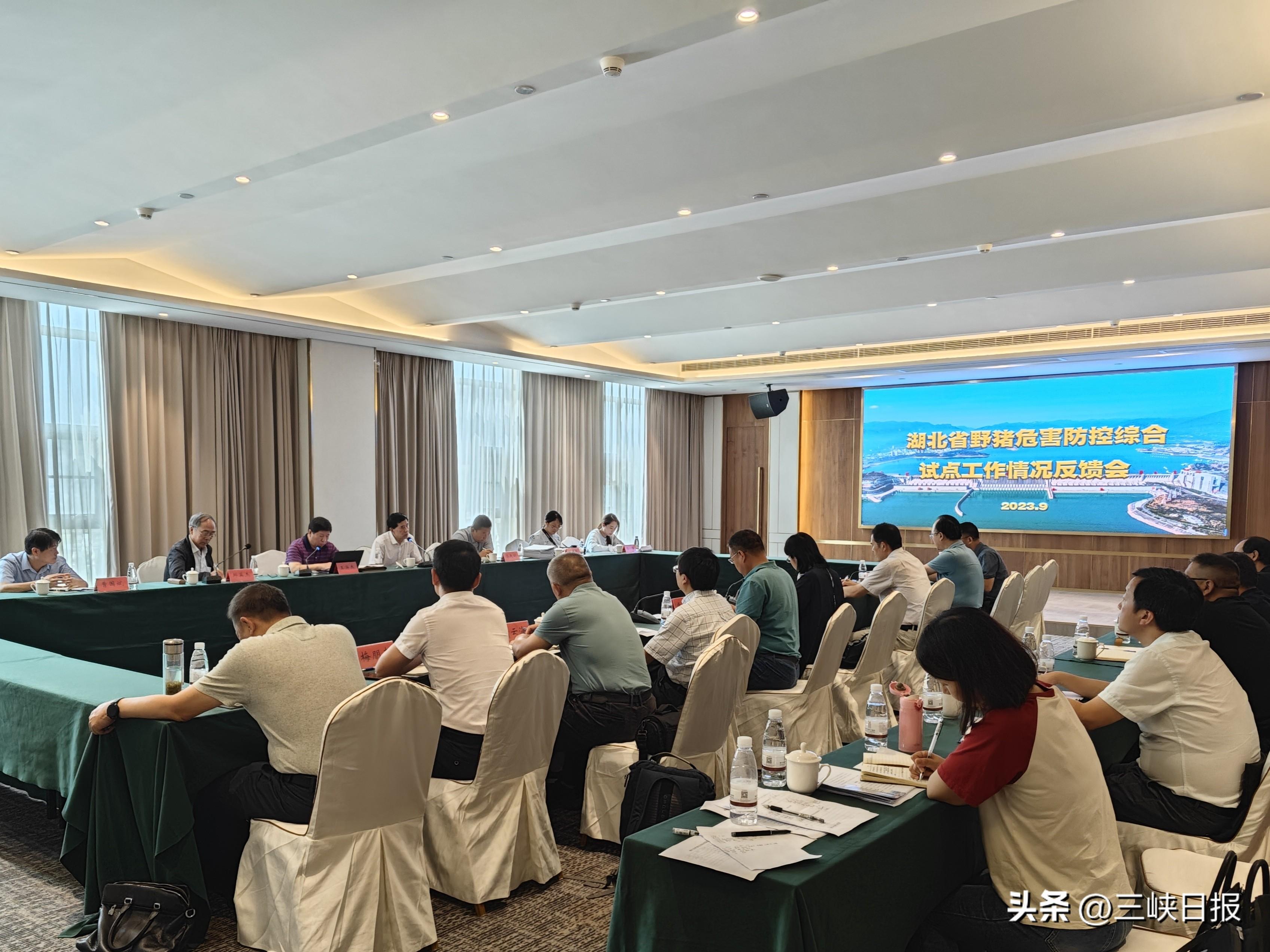 秭归县财政局最新新闻,秭归县财政局最新新闻，推动财政工作高质量发展，助力县域经济腾飞
