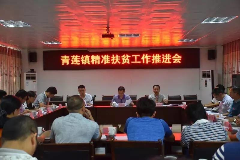 青莲村民委员会最新领导,青莲村民委员会最新领导团队及其展望