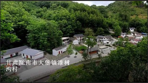 灯光村最新项目,灯光村最新项目，点亮乡村未来，构建宜居新典范