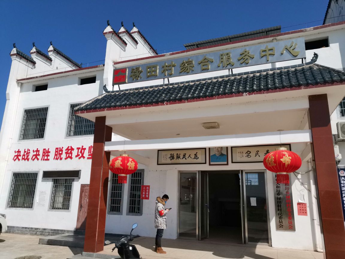 太和圩乡最新项目,太和圩乡最新项目，引领乡村发展的崭新篇章