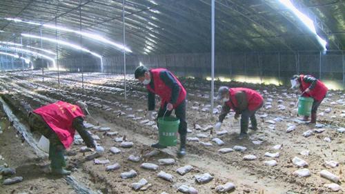海阳市农业农村局最新项目,海阳市农业农村局最新项目，推动农业现代化，助力乡村振兴