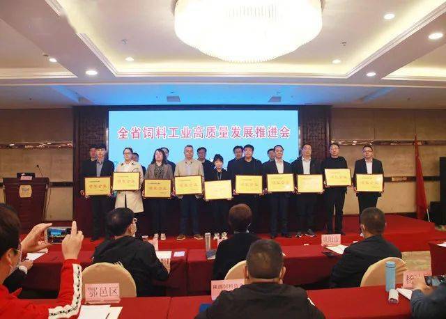 掇刀区科学技术和工业信息化局最新项目,掇刀区科学技术和工业信息化局最新项目，推动区域科技发展与工业信息化进程