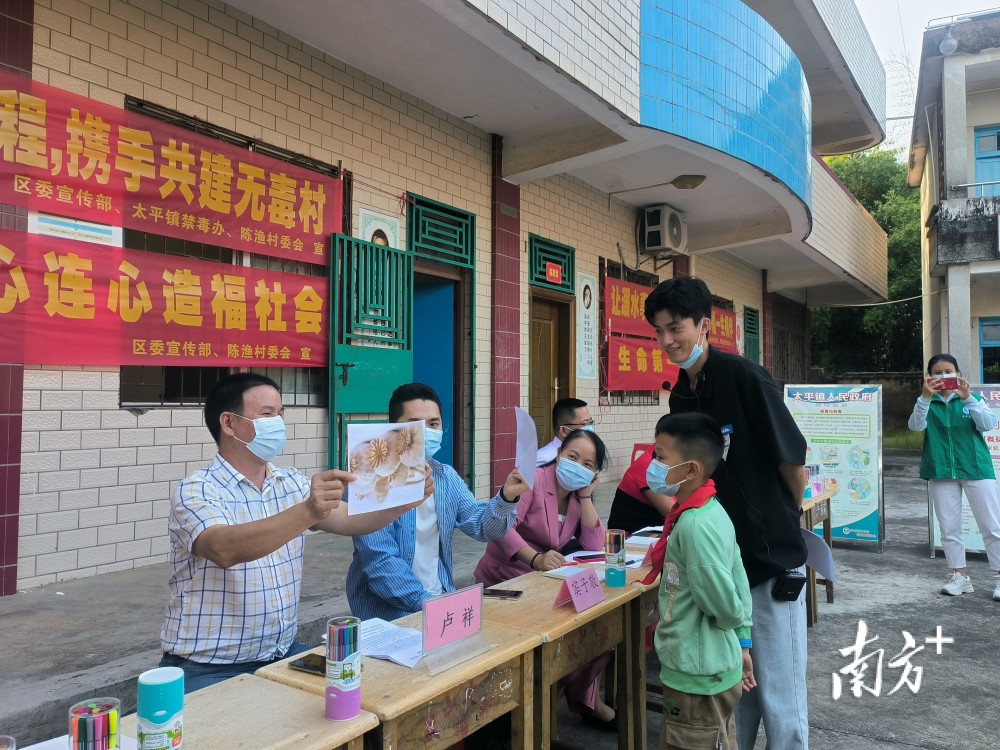 麻章区小学最新项目,麻章区小学最新项目，探索与启示