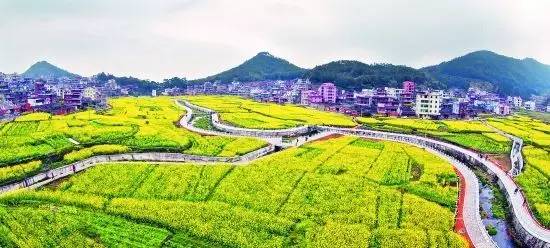虹山乡最新领导,虹山乡最新领导团队，引领乡村走向新篇章