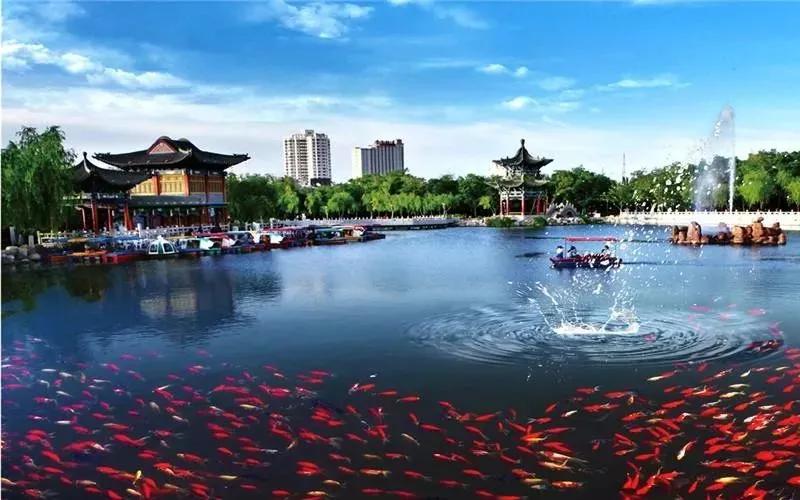 金昌市市林业局最新项目,金昌市市林业局最新项目，绿色生态建设的步伐与未来展望
