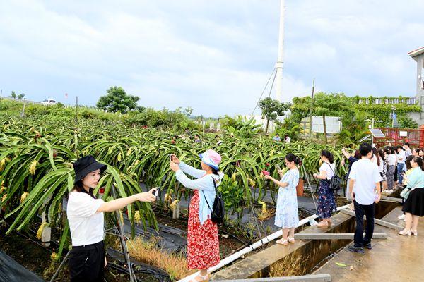 新澳精选资料免费提供|便利释义解释落实,新澳精选资料免费提供，助力学习之路，便利释义解释落实
