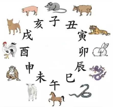 88887777m管家婆生肖表|聚焦释义解释落实,揭秘生肖奥秘，聚焦管家婆生肖表与深层解读