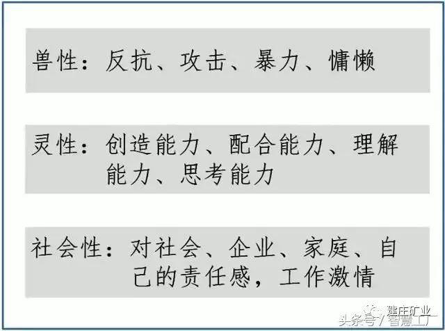 三肖必中特三肖三码的答案|心智释义解释落实,探索心智释义，三肖必中特三肖三码的答案与心智落实的重要性