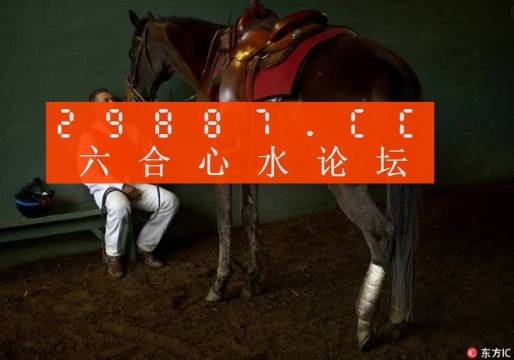 澳门一肖一码100管家婆9995|格物释义解释落实,澳门一肖一码与格物释义，探索、解释与落实
