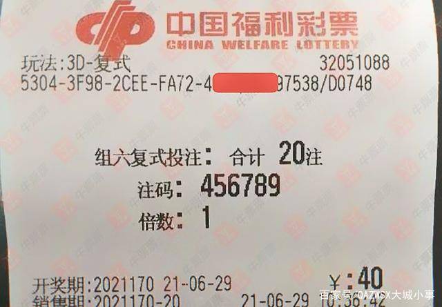 2025新澳门天天彩期期精准|商质释义解释落实,探索未来彩票世界，精准预测与商质释义的实践之路