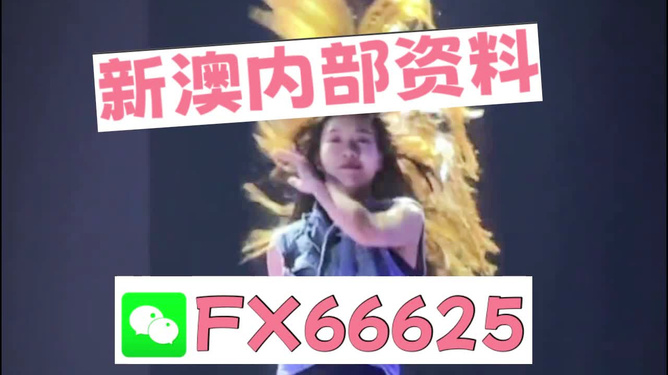 新澳门内部一码精准公开网站|以诚释义解释落实,新澳门内部一码精准公开网站，以诚释义，落实价值