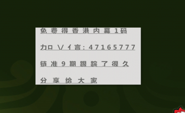 2004新澳正版兔费大全|一举释义解释落实,探索新澳正版兔费大全，一举释义与落实的深度解读