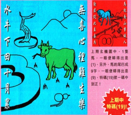 800图库免费资料大全|招募释义解释落实,800图库免费资料大全，招募释义解释落实