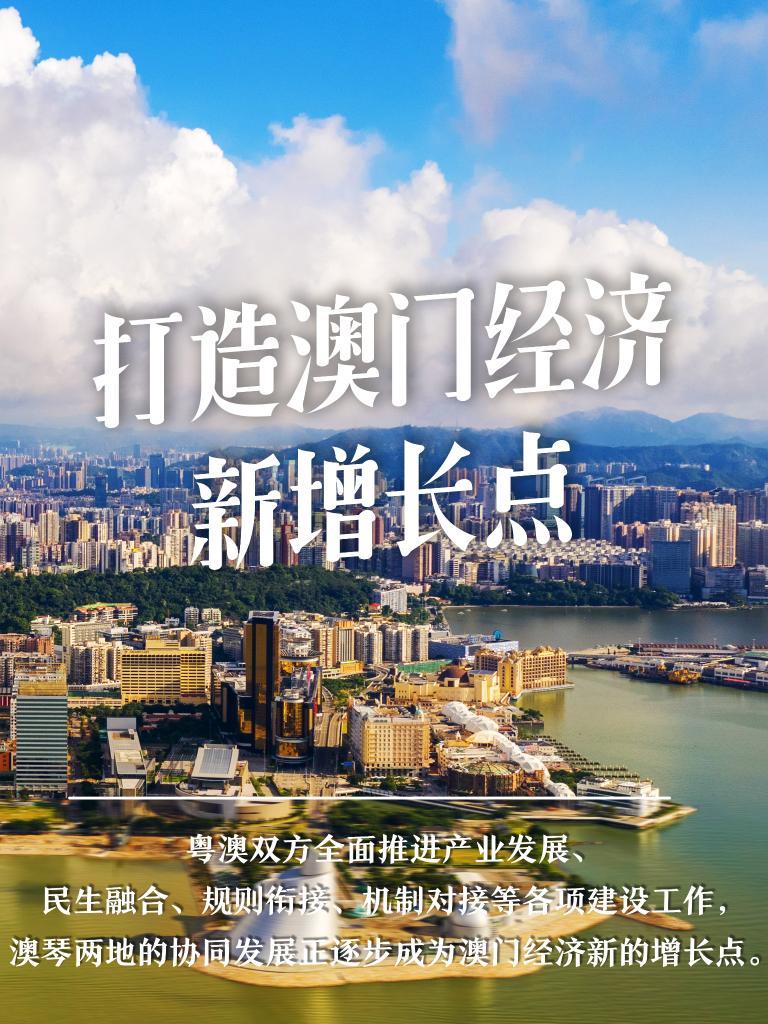 新澳门2025今晚开什么|强调释义解释落实,新澳门2025今晚开什么，释义解释与落实的重要性